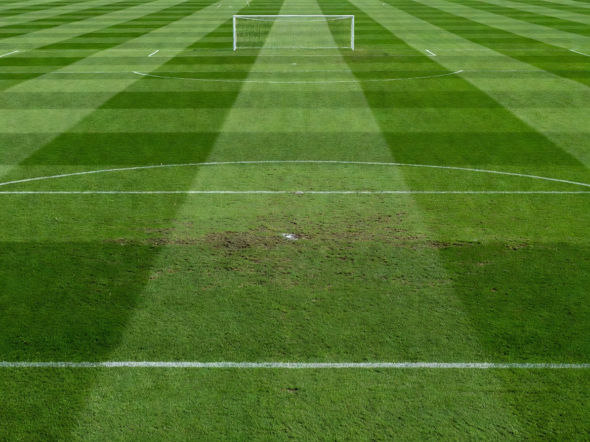 Professional football pitch showing clean mown striping and goalmouth turf condition